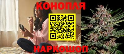 a pvp Можга