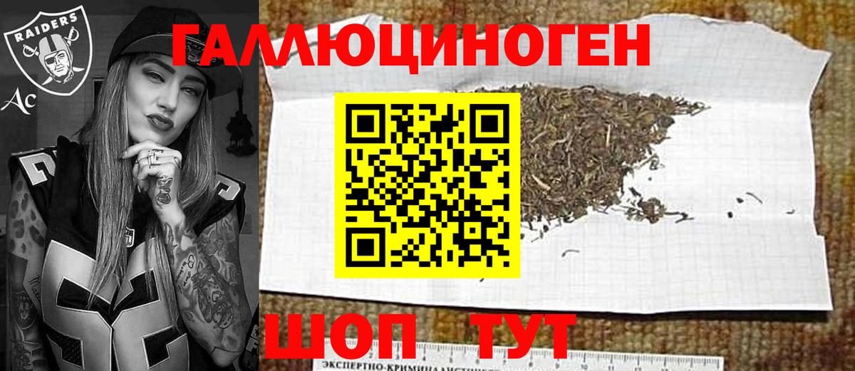 Галлюциногенные грибы MAGIC MUSHROOMS  Вход с VPN  Северобайкальск  Галлюциногенные грибы Psilocybine cubensis 